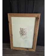 1984 Sketch Cat Wildlife Animal Numbered Signed Jim Driever Framed Art D... - $60.89
