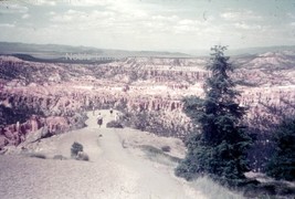 1963 Forest Canyon Overlook Colorado 35mm Slide - £2.77 GBP