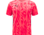 Puma IndividualsFinal FF. Jersey Men&#39;s Soccer T-Shirts Football Top 6595... - £46.12 GBP