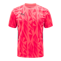 Puma IndividualsFinal FF. Jersey Men&#39;s Soccer T-Shirts Football Top 6595... - £45.23 GBP