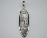Sajen Sterling Silver Orthoceras Fossil Pendant Gray Onyx Statement Long... - £38.78 GBP