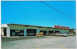 Florida Postcard Clearwater Orange Blossom Groves - $2.05