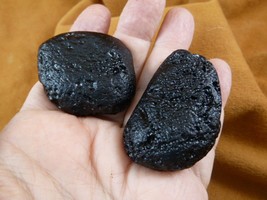 (x-342) set of 2 large Tektites TEKTITE from Impact 700,000 years ago sp... - $12.19