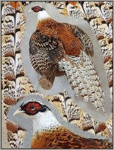 Pheasant Taxidermy Mount Bird Gamebird Feathers Exotic by Wildlife-Artist - £681.56 GBP
