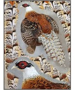 Pheasant Taxidermy Mount Bird Gamebird Feathers Exotic by Wildlife-Artist - £668.48 GBP