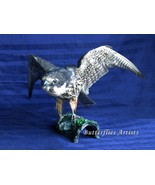 Real Bird Mounted Eurasian Specimen Taxidermy Scientific Interior Decor - $895.00