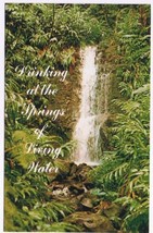 Religious Postcard Waterfall Bushes - £1.63 GBP