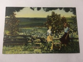 Vintage Postcard Posted 1951 Linen Inspiration Point Near Lake Tapey Osarks MO - £2.22 GBP
