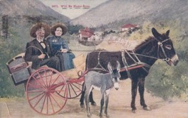 Will Be Home Soon Couple Donkey Cart 1919 Pueblo Colorado CO Postcard C55 - £2.33 GBP