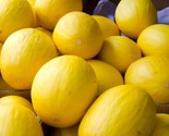 20 Canary Yellow Melon Seeds Fruit Non Gmo Fast Shipping - $8.99