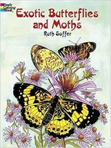 A Coloring Book of Exotic Butterflies and Moths, Printable PDF - £2.31 GBP