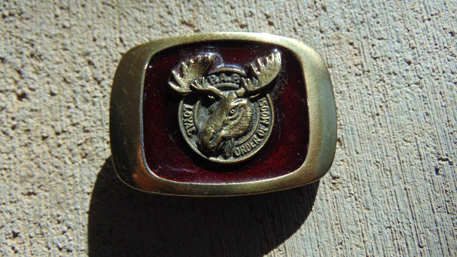 Loyal Order of the Moose belt buckle Mini- NEW - $14.95