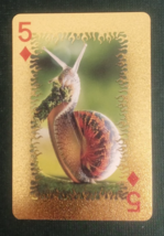 Animal-Themed Golden Foil PVC Mini Playing Card Snail 5 Diamonds - $1.84