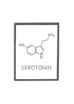 Serotonin Molecular Structure Metal Enamel Pin - New Fun Science Molecules Pin - £4.70 GBP