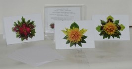 Natural Vegetation Frameable 5X7 All Occasion Card 3 Designs Package 6 White - £11.88 GBP