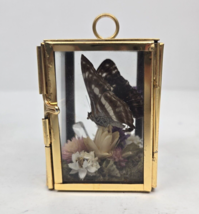 Glass Brass Hinged Curio Box Dried Flowers &amp; Butterfly Taxidermy Small 2.5&quot; - £18.10 GBP