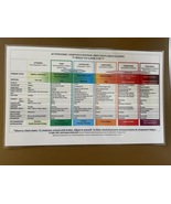 Detailed Autonomic Nervous system laminated chart from calm to hyper/hypo freeze - £3.93 GBP