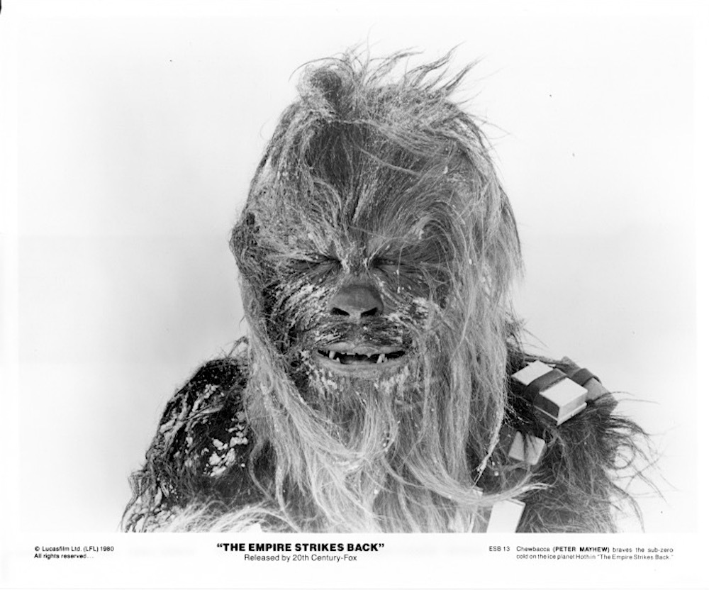 1980’s THE EMPIRE STRIKES BACK Chewbacca iced over rare original b/w 8x1... - $19.99