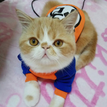  Fashion Pet Cat Costume Summer Cat Vest Hoodie Cozy Mascoats Gotos Clot... - £4.38 GBP+