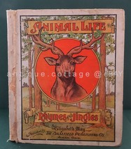 Rare 1902 Antique Animal Life In Rhymes And Jingles Saalfield Elizabeth May - £176.43 GBP