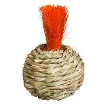 Prevue Pet Products Grassy Nibblers Squash 1080 - $561.85 MXN