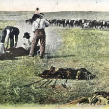 Lakota Branding Calves On The Open Range Postcard Antique Vintage - £7.94 GBP