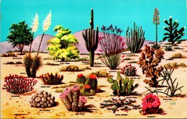 Vtg Chrome Postcard Cacti &amp; Desert Flora of Great Southwest Petley Studios UNP  - £2.93 GBP