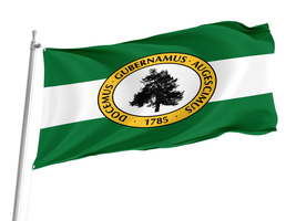 Richland County, South Carolina Flag,Size -3x5Ft / 90x150cm, Garden flags - $29.80