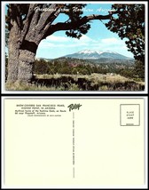 ARIZONA Postcard - Winter Scene San Francisco Peaks M7 - £2.33 GBP