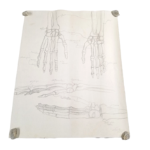Art Student Sketch Pencil Drawing Signed Skeleton Bones Anatomy 60s VTG 18x24 - £19.70 GBP