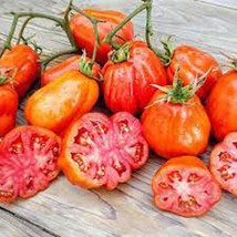 50 Seeds Canestrino Tomato Juicy Vegetable Garden Edible Fresh Seeds - £8.10 GBP