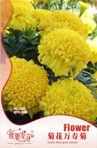 SL 10 Original Packs, 35 Seeds / Pack, Jumbo Yellow Crackerjack Marigold Seeds - $13.82