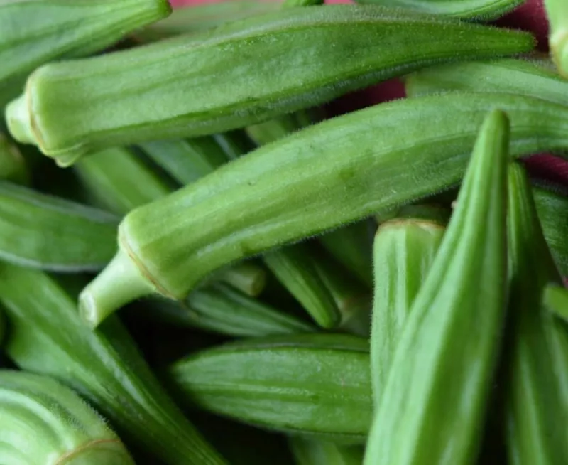 0.25 Oz Seeds Perkins Long Green Pod Okra Seed Heirloom Seeds For Speedy Garden - £10.58 GBP