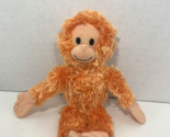 American Girl Lanie’s Nightgown Set orange orangutan plush monkey only 1... - $29.69