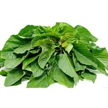 300 Green Amaranth Seeds Chinese Spinach Yin Cho Green Edible Vegetableg... - $6.78