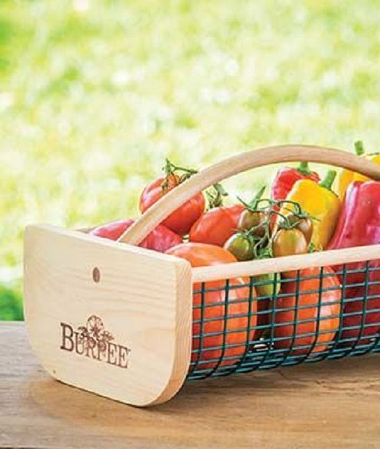 Burpee Garden Hod Other Home & Garden