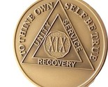 19 Year AA Medallion Premium Bronze Lion Back Sobriety Chip - $5.99