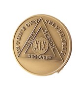 19 Year AA Medallion Premium Bronze Lion Back Sobriety Chip - $5.99