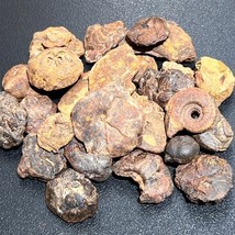 Item image 11