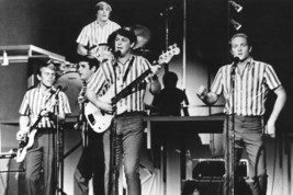 The Beach Boys 18x24 Posterstriped shirts in concert - $23.99