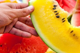 BStore 19 Seeds Yellow Flesh Moon And Stars Watermelon Seeds Non Gmo Heirloom Fr - £11.29 GBP