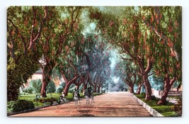 Marengo Avenue Street View Pasadena California CA UNP DB Postcard P15 - £3.07 GBP
