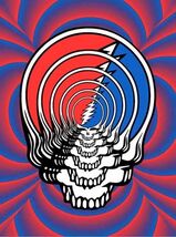 Grateful Dead METAL PRINT  12X8IN INCHES SUBLIMATION PORTRAIT SIGN BEARS 86 - €21,39 EUR