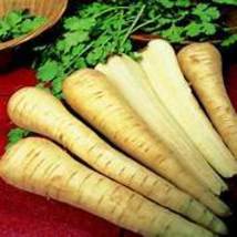 White Gem Parsnip Carrot Vegetables Seeds, organic edible vegetables E3735  - £7.84 GBP