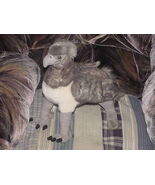 15&quot; Harry Potter Witherwings Buckbeak Plush Universal - $69.70 CAD