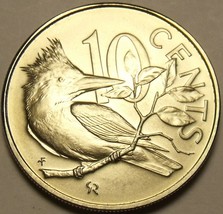 Rare Gem Unc British Virgin Islands 1974 10 Cents~12k Minted~Kingfisher~Free Shi - £6.33 GBP