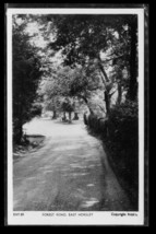 Vintage RPPC Photo Postcard UDB Forest Road East Horsley Frith Series - £11.86 GBP