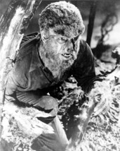 The Wolf Man 1941 Lon Chaney Jr hides in tree 8x10 inch photo - £7.77 GBP