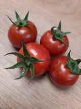 Lost Marbles tomato from the USA - 10+ Seeds - P 452 - £1.59 GBP