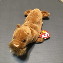 Paul The Walrus TY Plush Beanie Baby With Tag 1999 Retired - £4.82 GBP